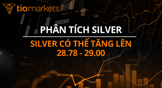 silver-co-the-tang-len-28-78-29-00